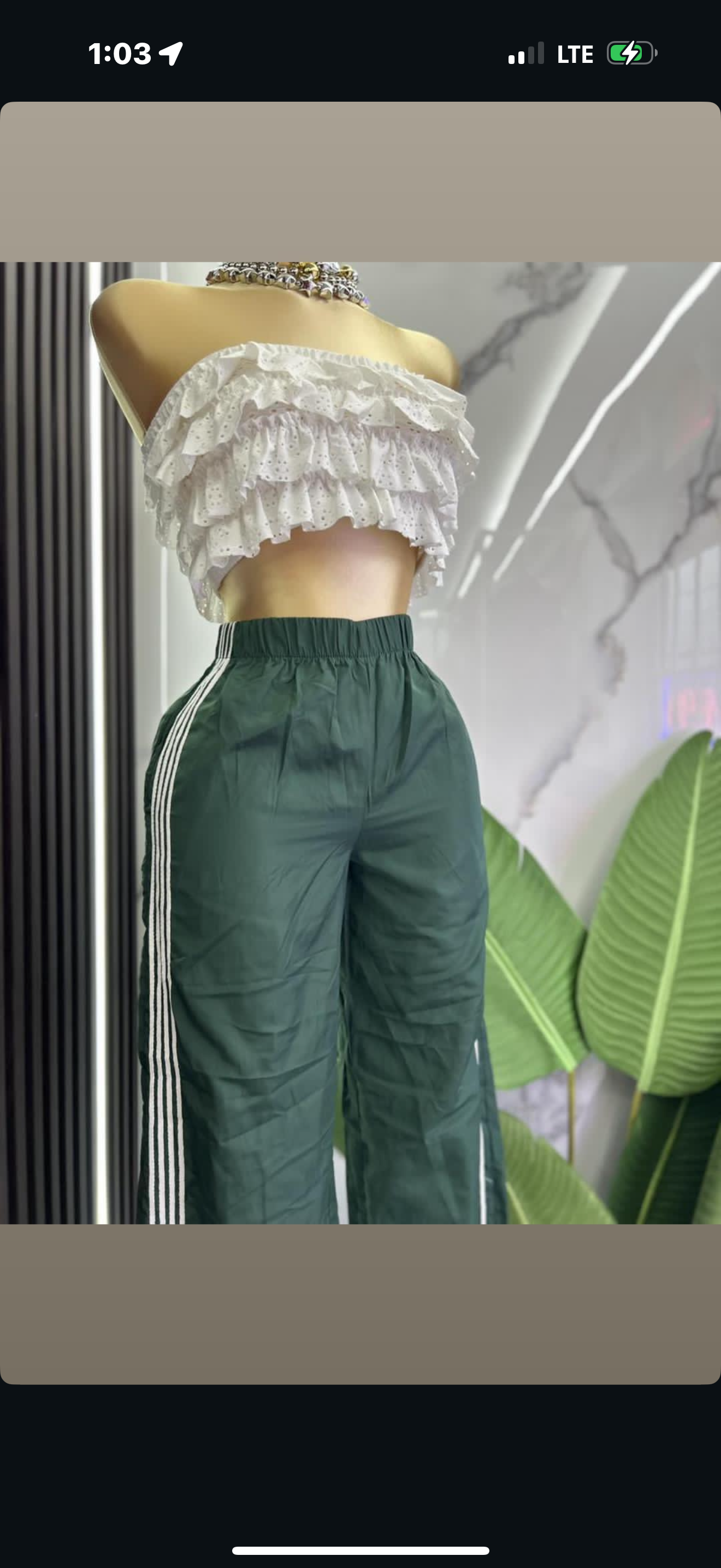 Urban Jungle Pants